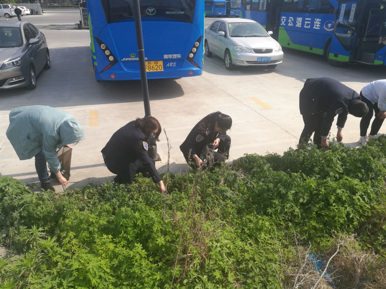 公交集團(tuán)經(jīng)營(yíng)發(fā)展事業(yè)部開(kāi)展清理垃圾志愿活動(dòng)