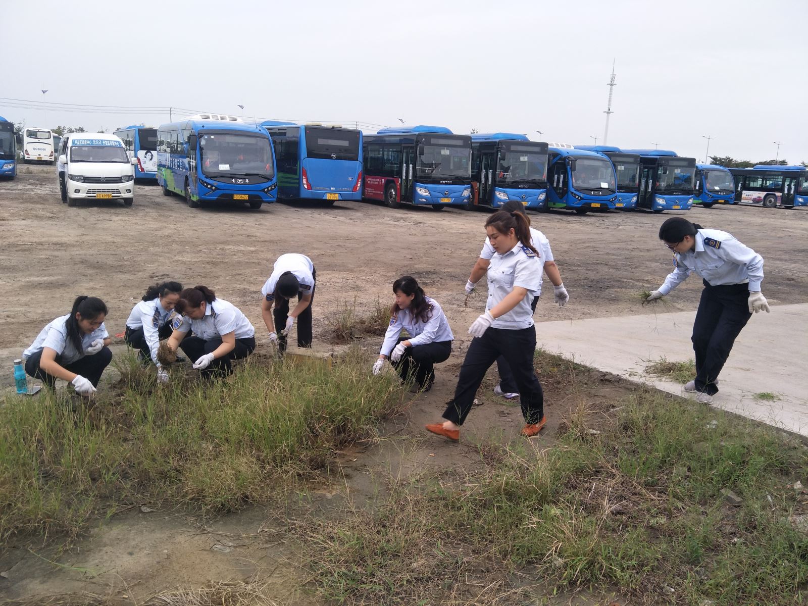 公交集團(tuán)佳連公司開展停車場(chǎng)拔草活動(dòng) 為創(chuàng)文助力